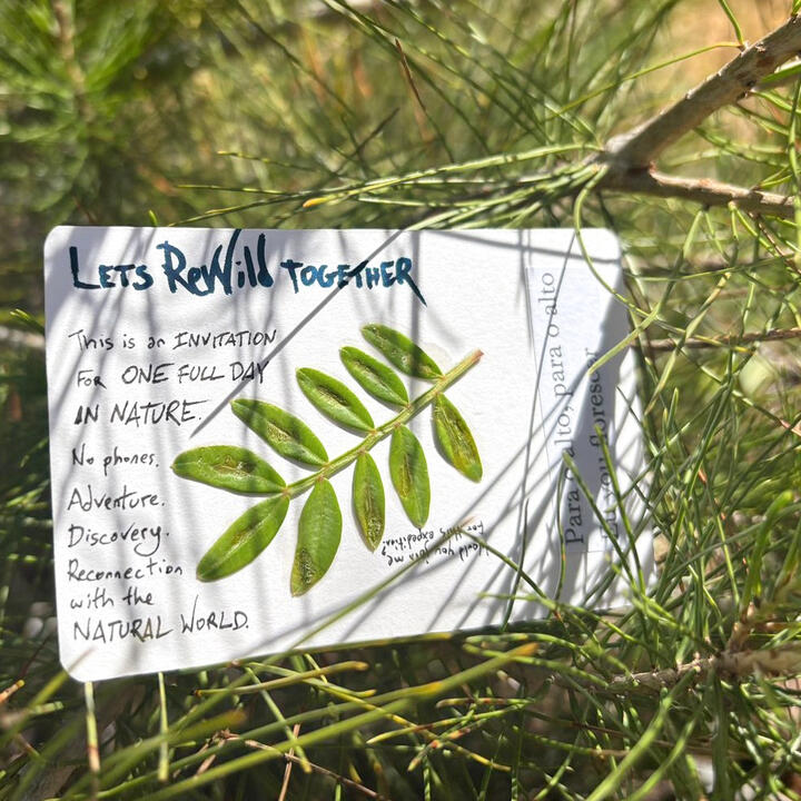 Let's Rewild Together Let's Rewild Together