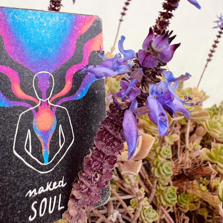 Naked Soul Naked Soul