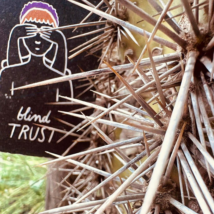Blind Trust Blind Trust
